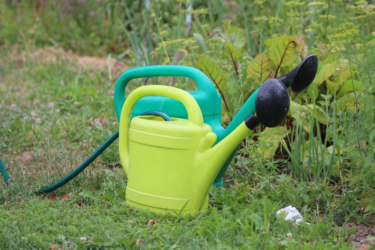 watering can  garden  summer free photo