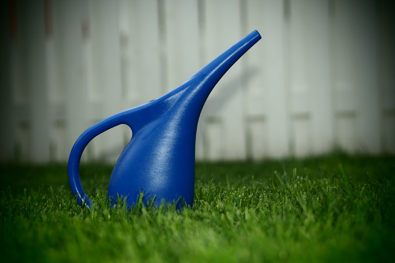 watering can lawn yard free photo