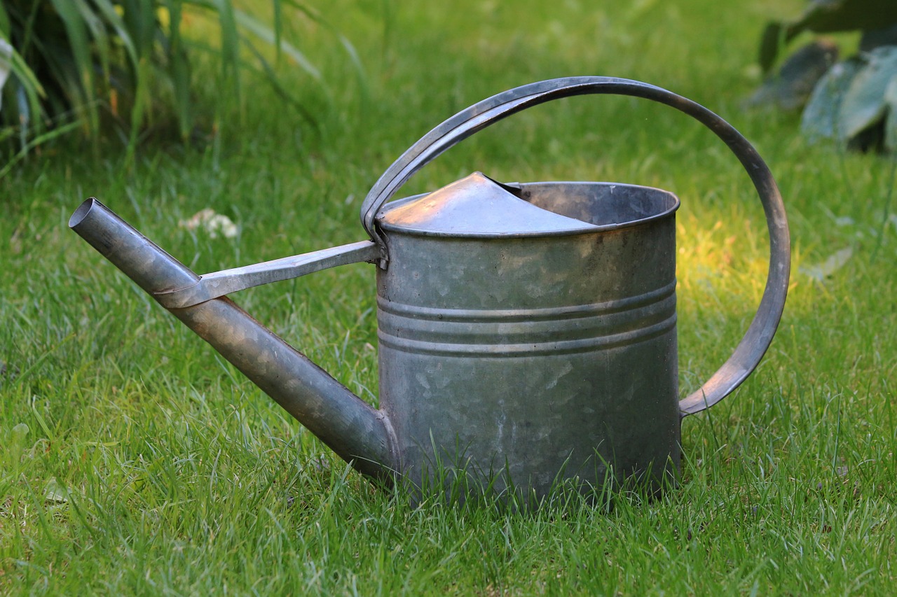 watering can garden grass free photo