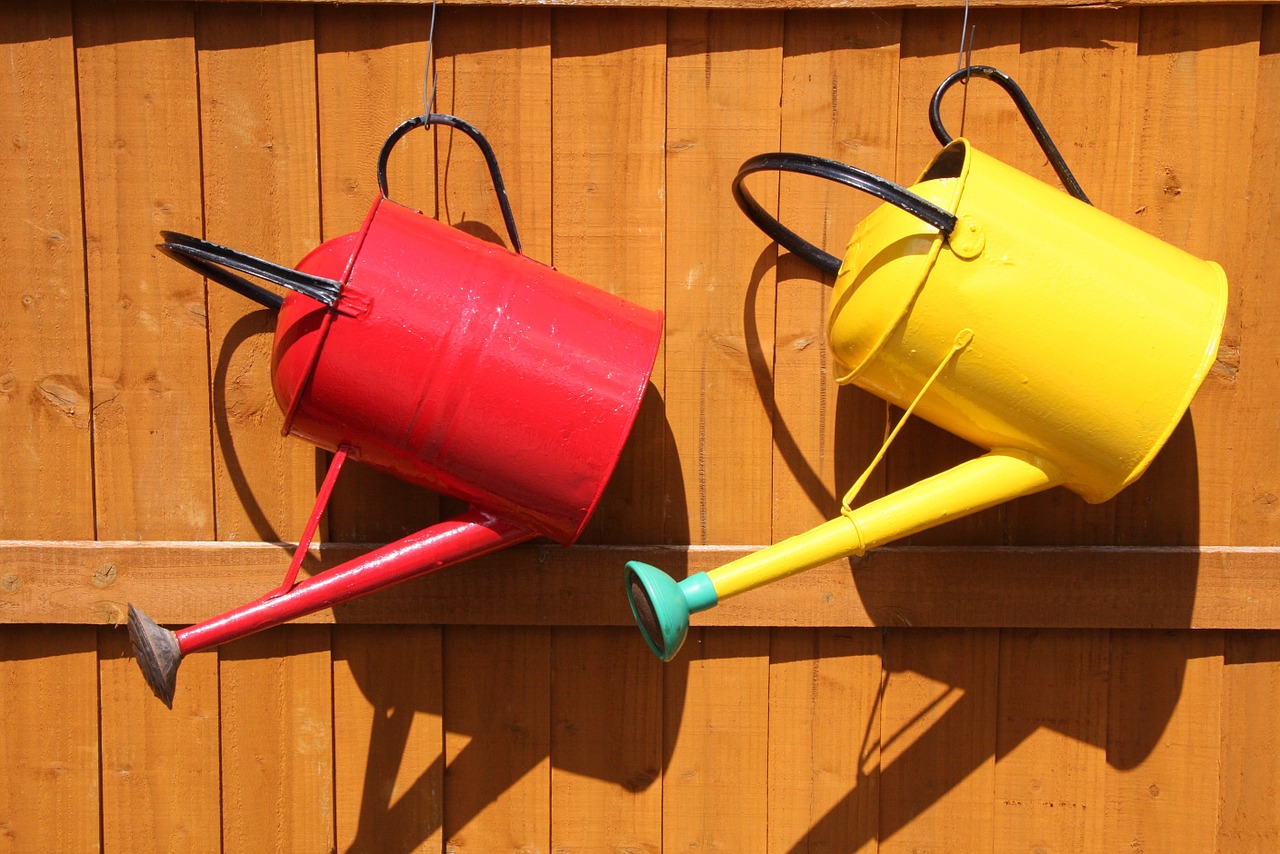 watering can garden farm free photo