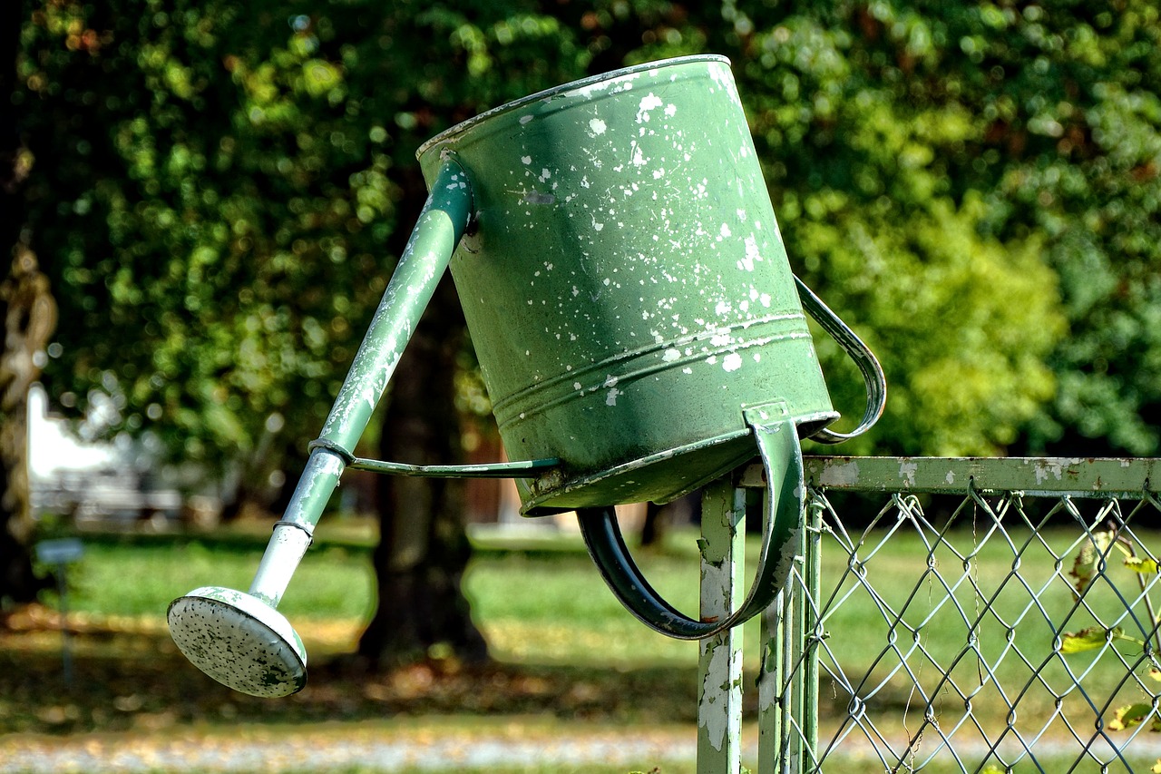 watering can garden casting free photo
