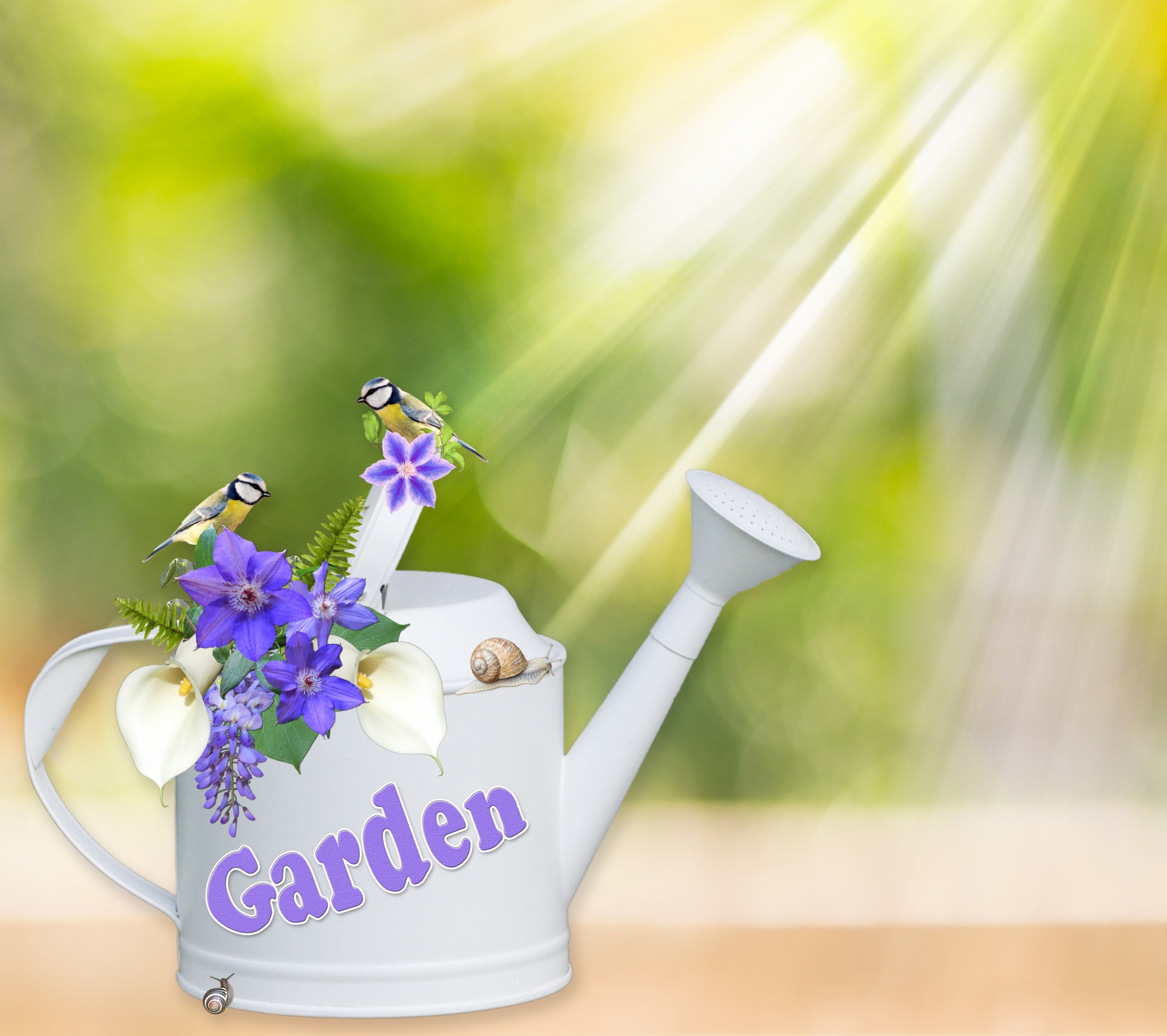 watering can can garden free photo