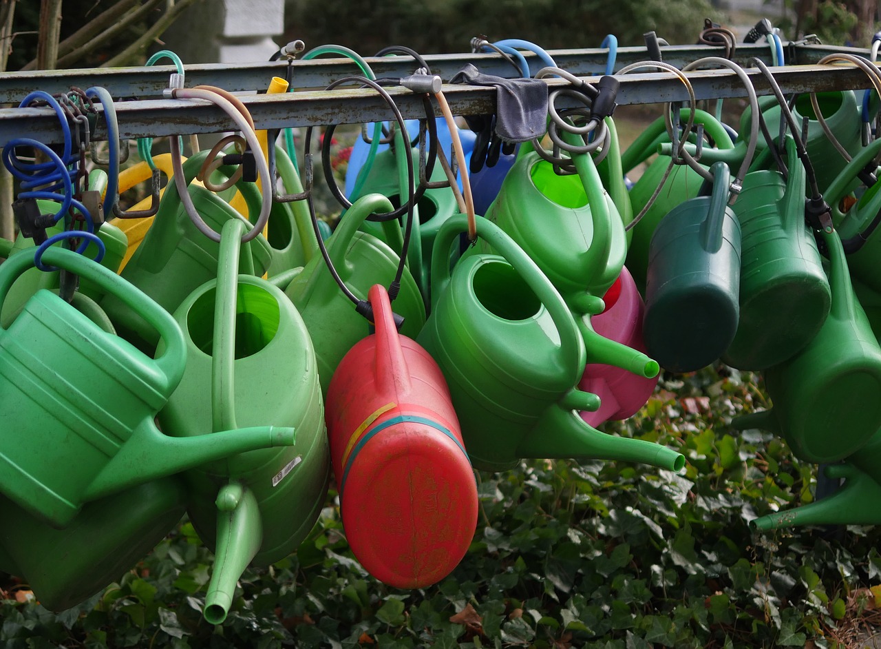 watering cans colorful irrigation free photo