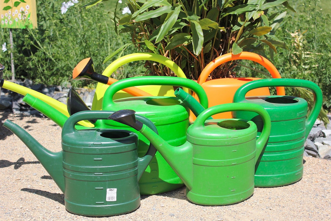 watering cans water flowers watering can free photo