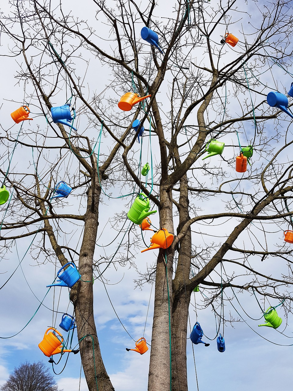 watering cans advertising lined up free photo