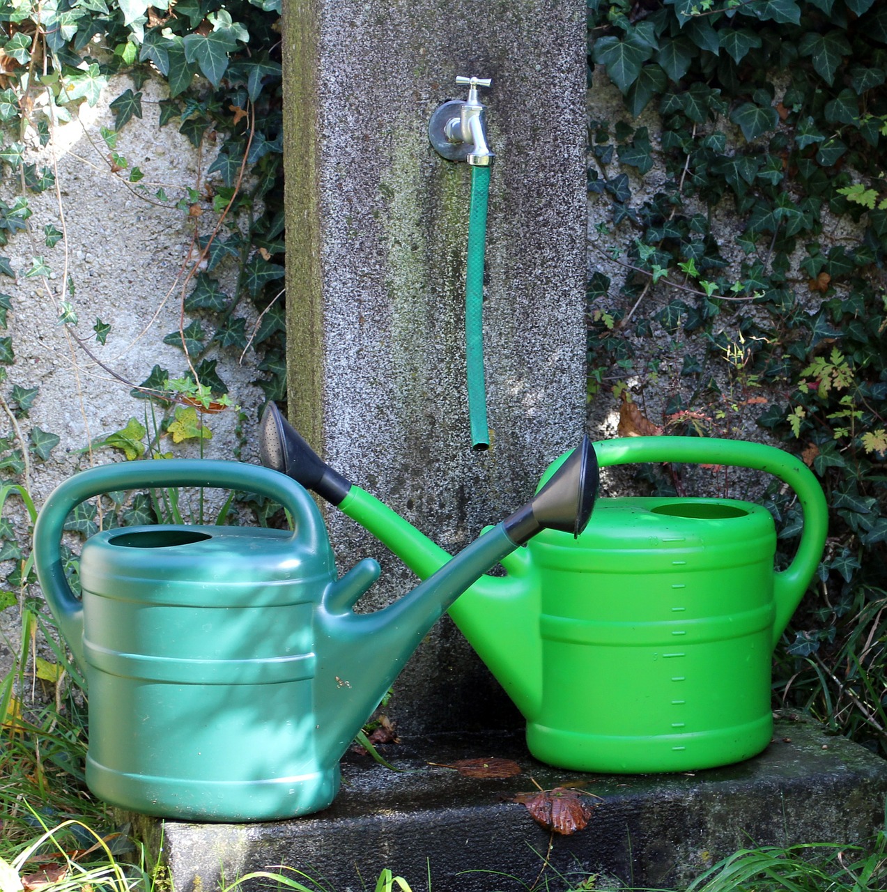 watering cans watering hole water free photo
