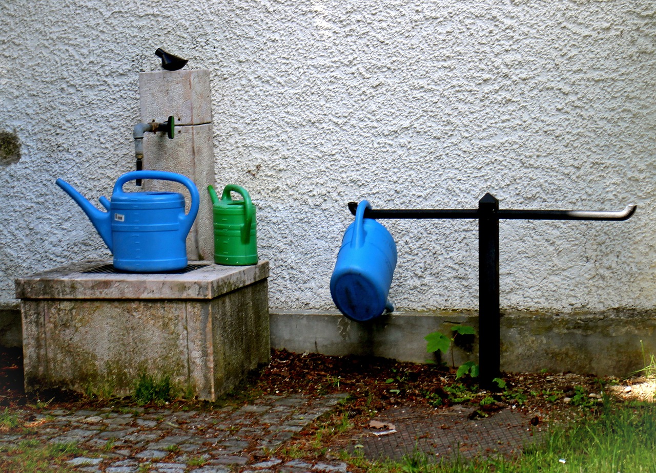 watering hole watering can pot free photo
