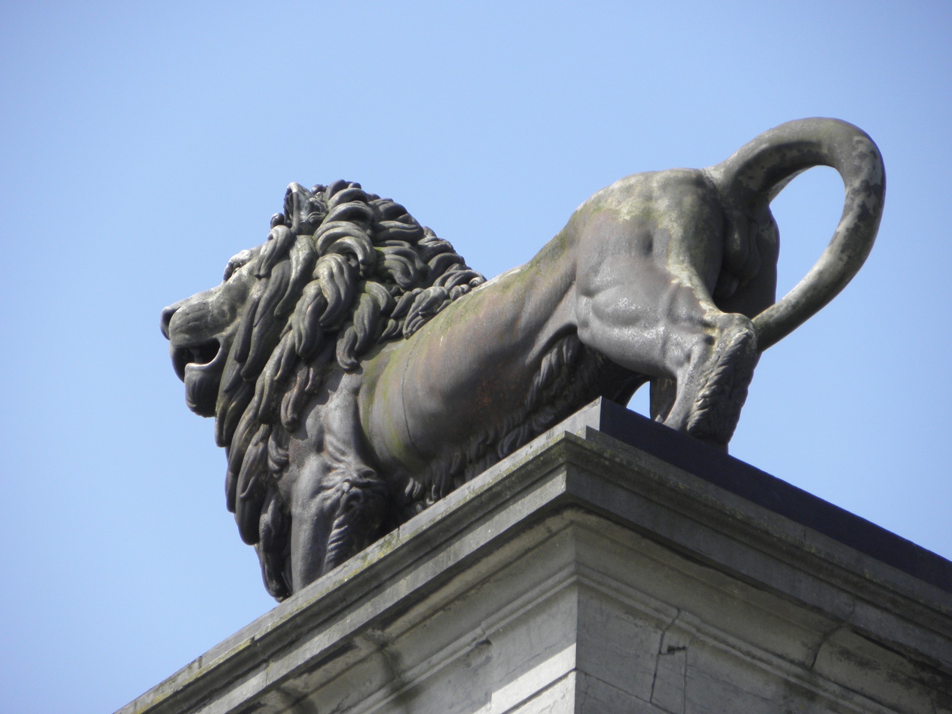 waterloo napoleon lion monument free photo