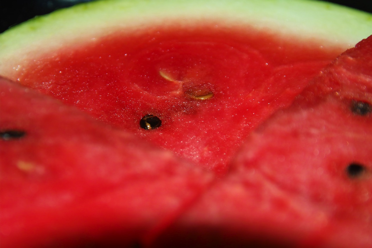 watermelon red fruit free photo