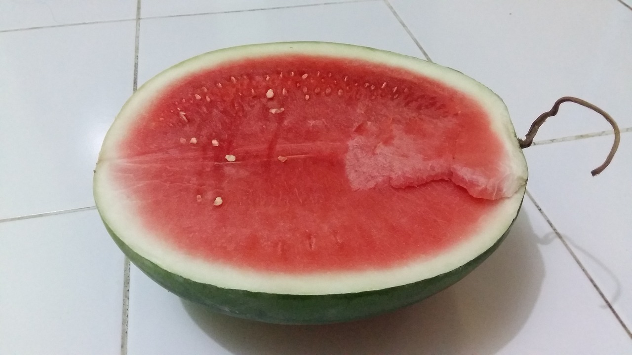 watermelon fruit nutrition free photo