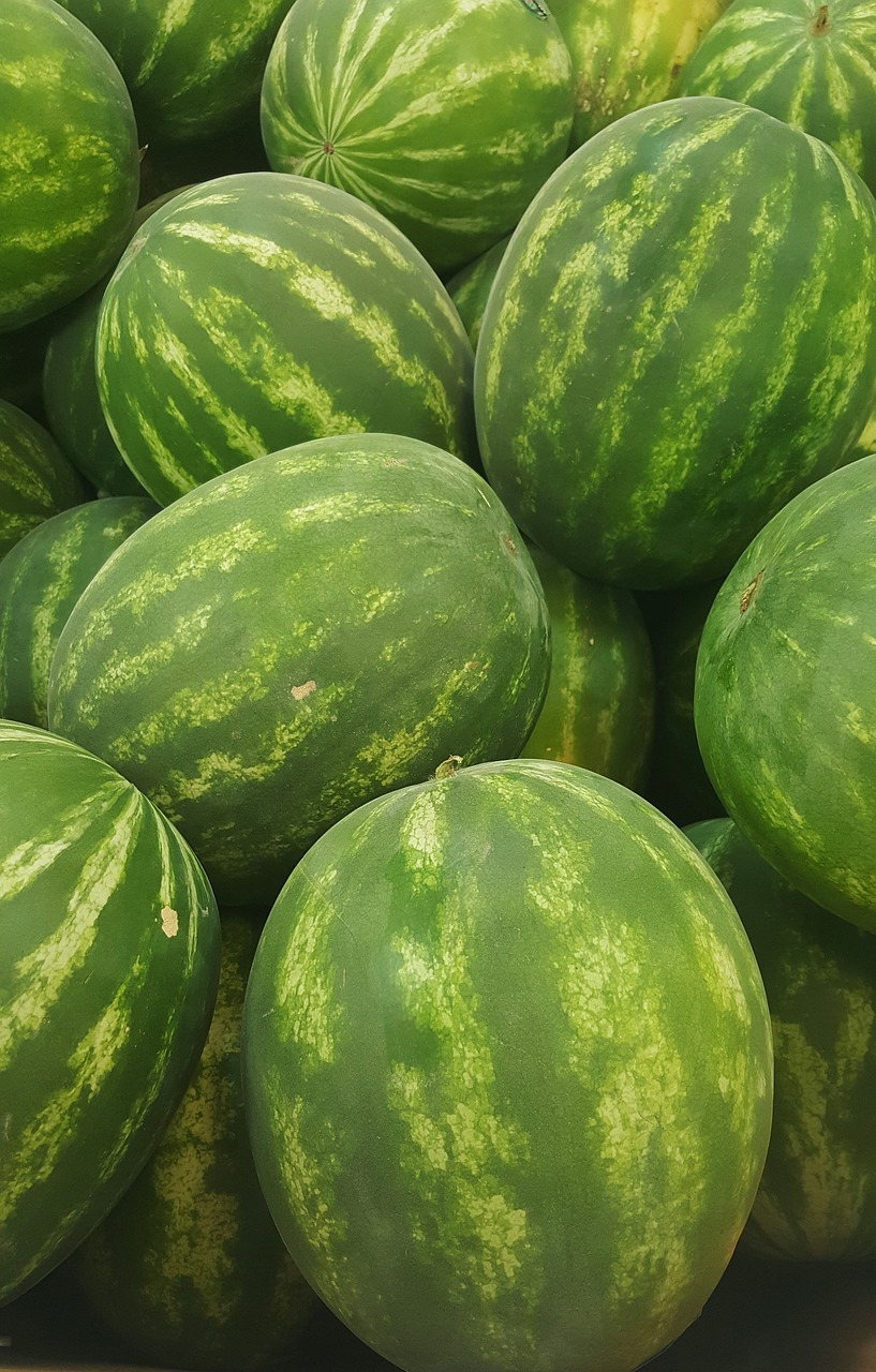 watermelon melon seedless free photo