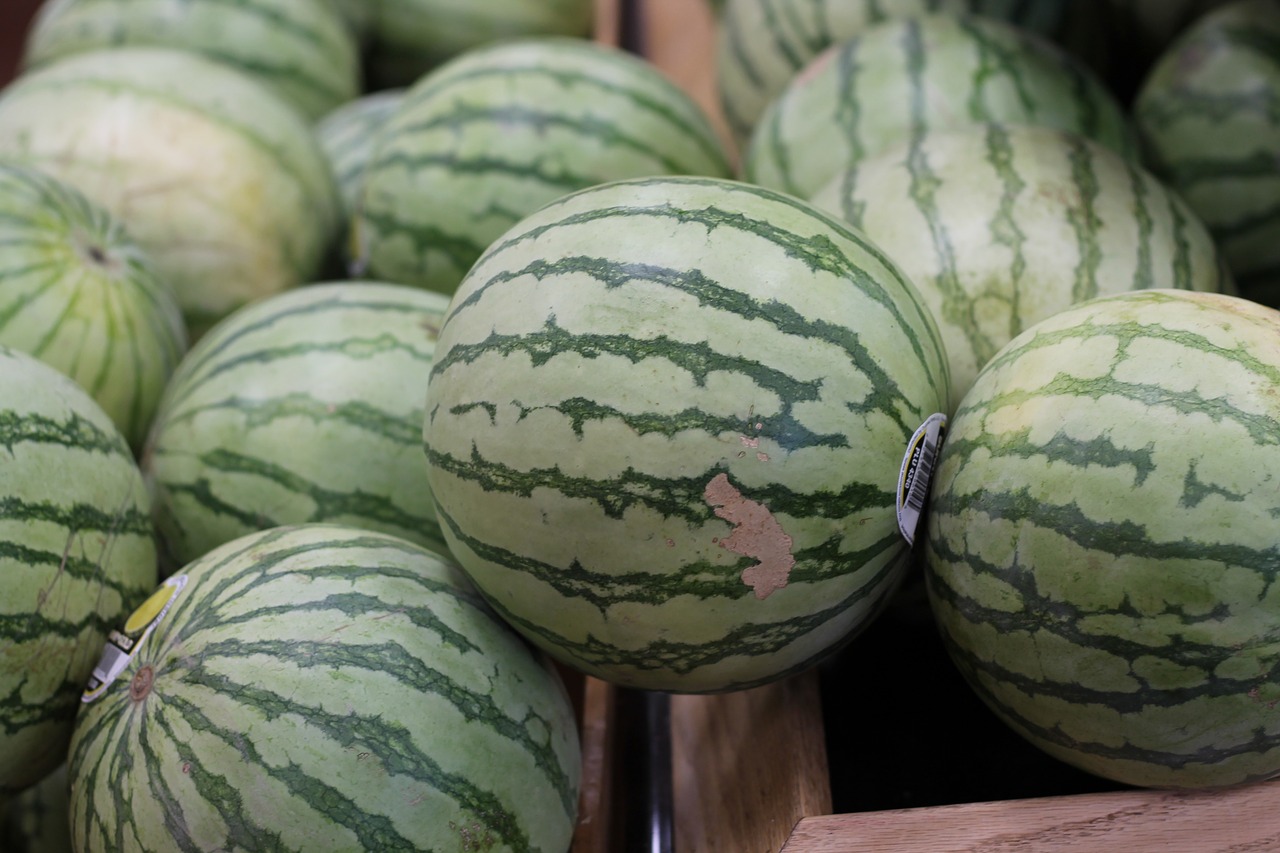 watermelon fruit melon free photo