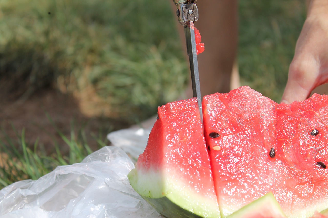 watermelon melon fruit free photo