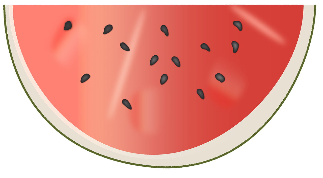 watermelon disc delicious free photo