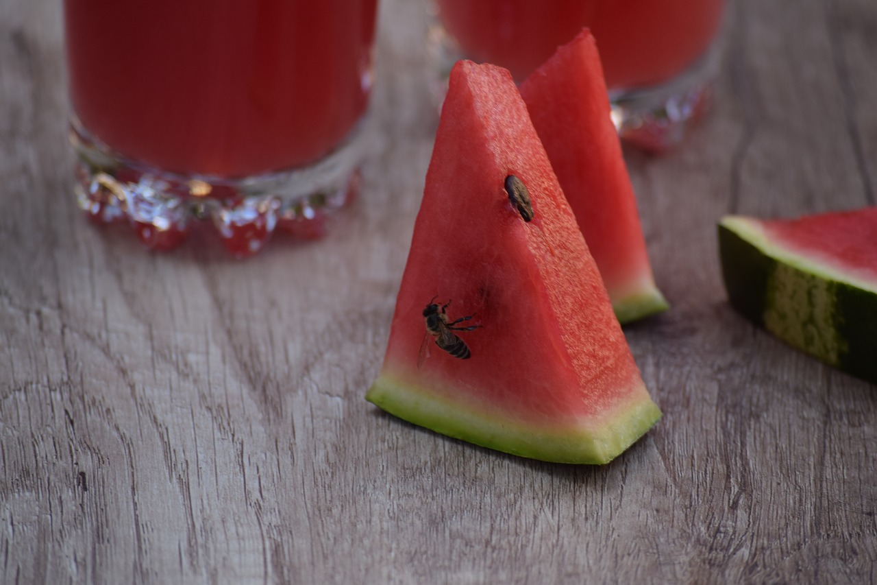 watermelon food vegetable free photo