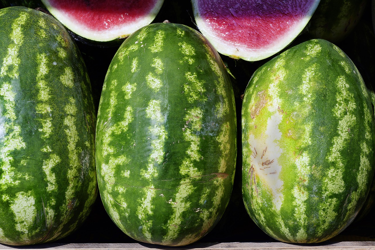 watermelon choose fruit free photo