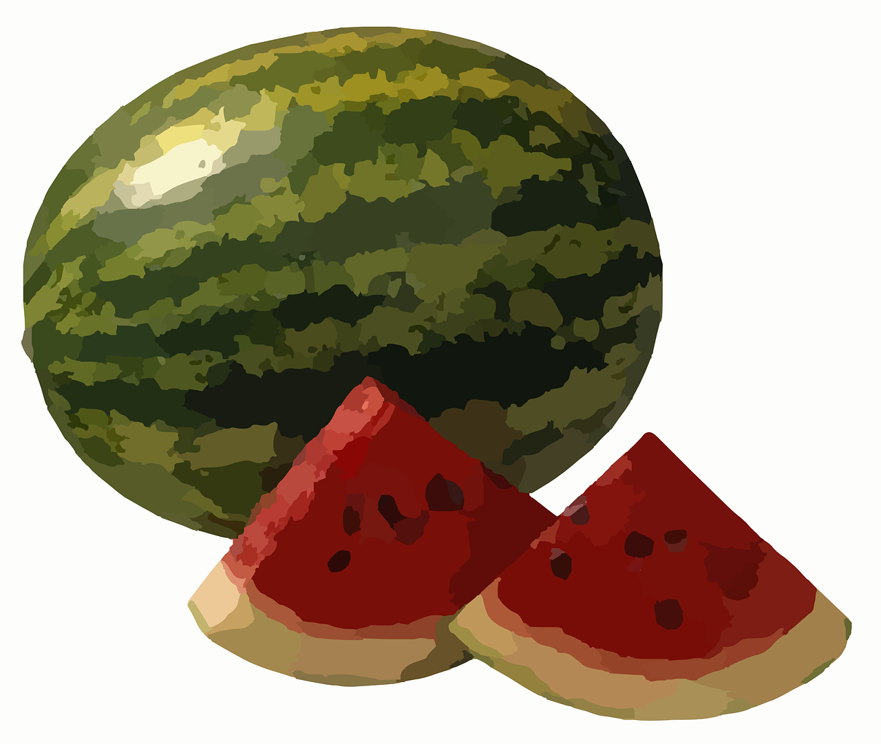 watermelon melon slices free photo