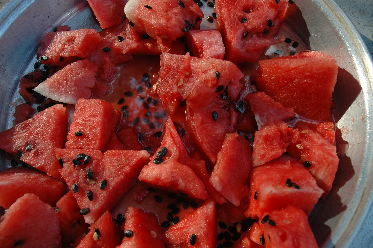watermelon summer tips free photo