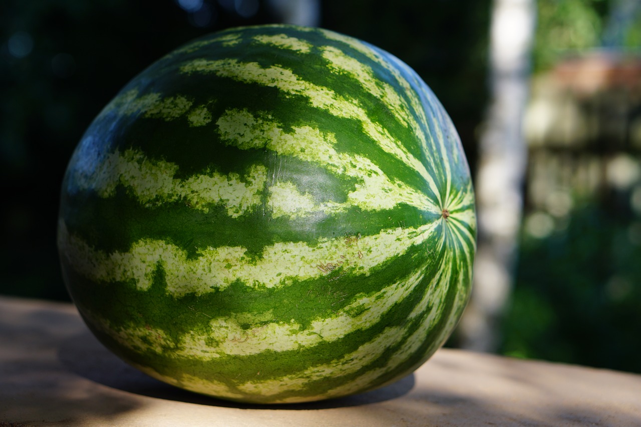 watermelon summer food free photo