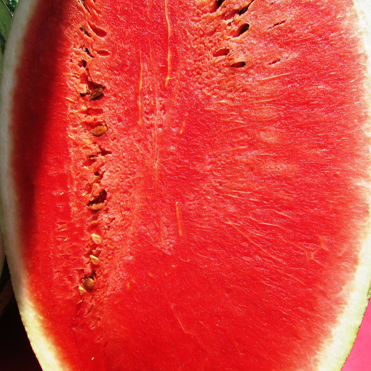 watermelon melon citrullus lanatus free photo