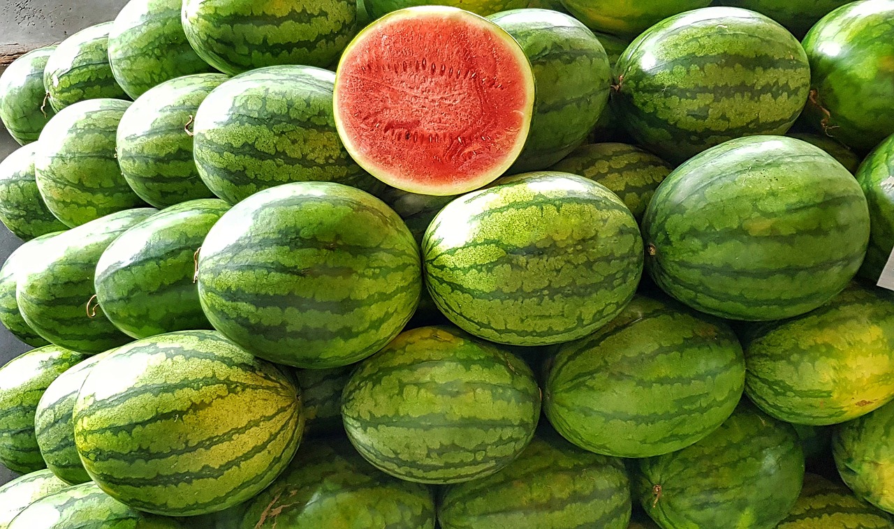 watermelon  melon  red free photo