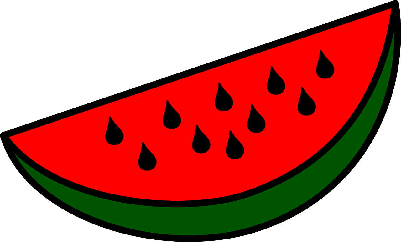 watermelon melon slices free photo