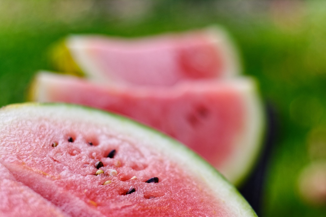 watermelon  watermelons  slices of watermelon free photo