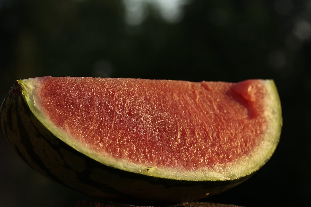 watermelon melon fruit free photo