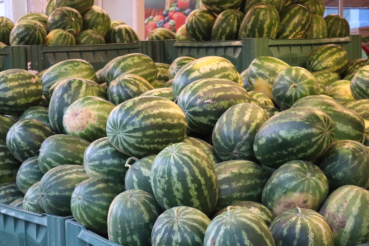 watermelon  sale  market free photo