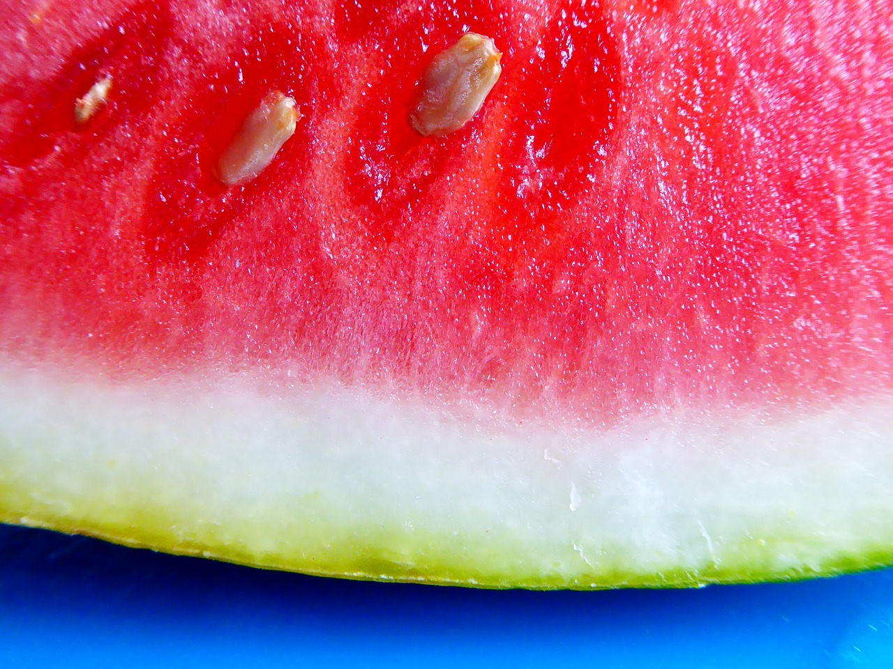 watermelon red pulp free photo