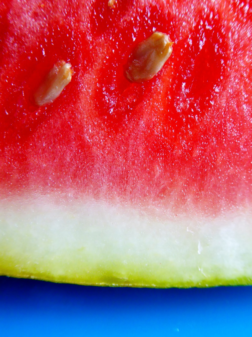 watermelon red pulp free photo