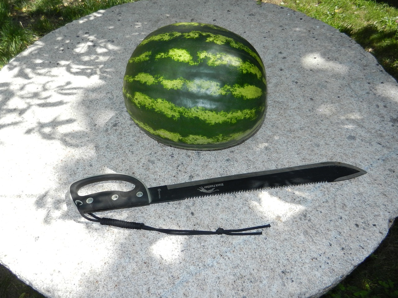 watermelon fruit sword free photo