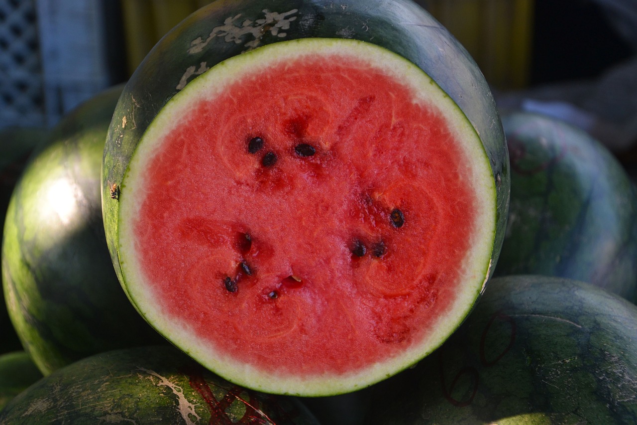 watermelon fruit round free photo