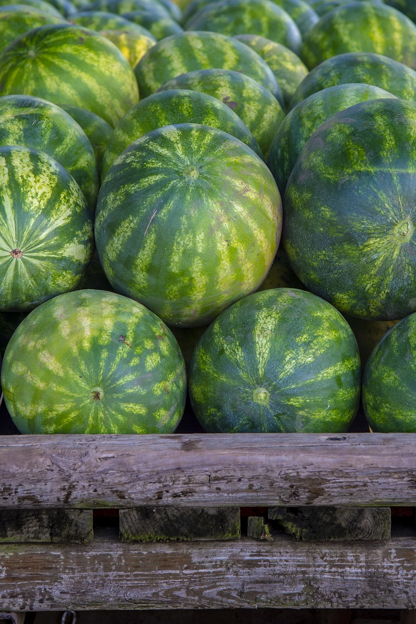 watermelons  pile  fresh free photo