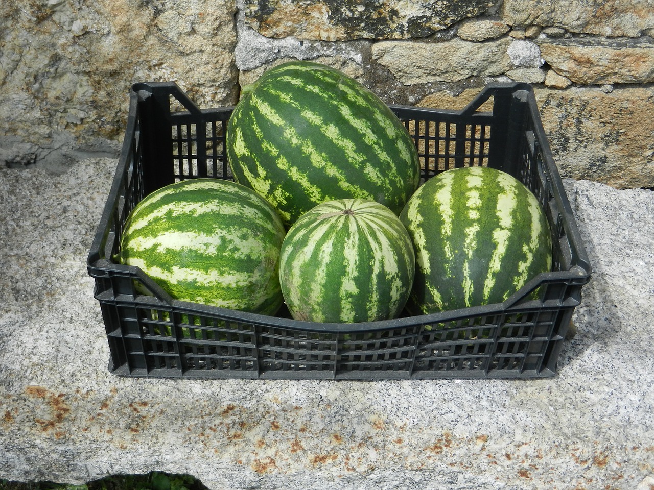 watermelons basket fruit free photo