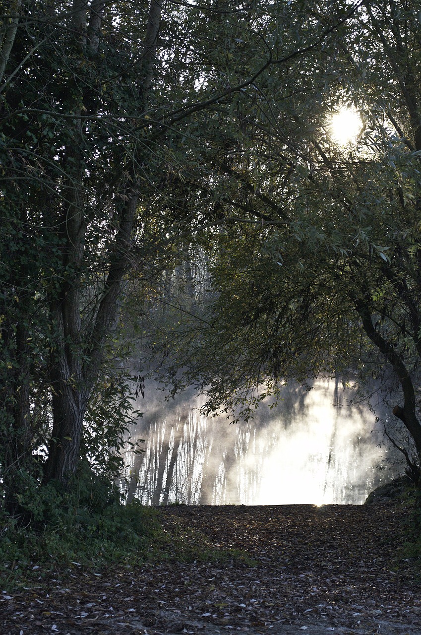 waterpolo landscape river free photo