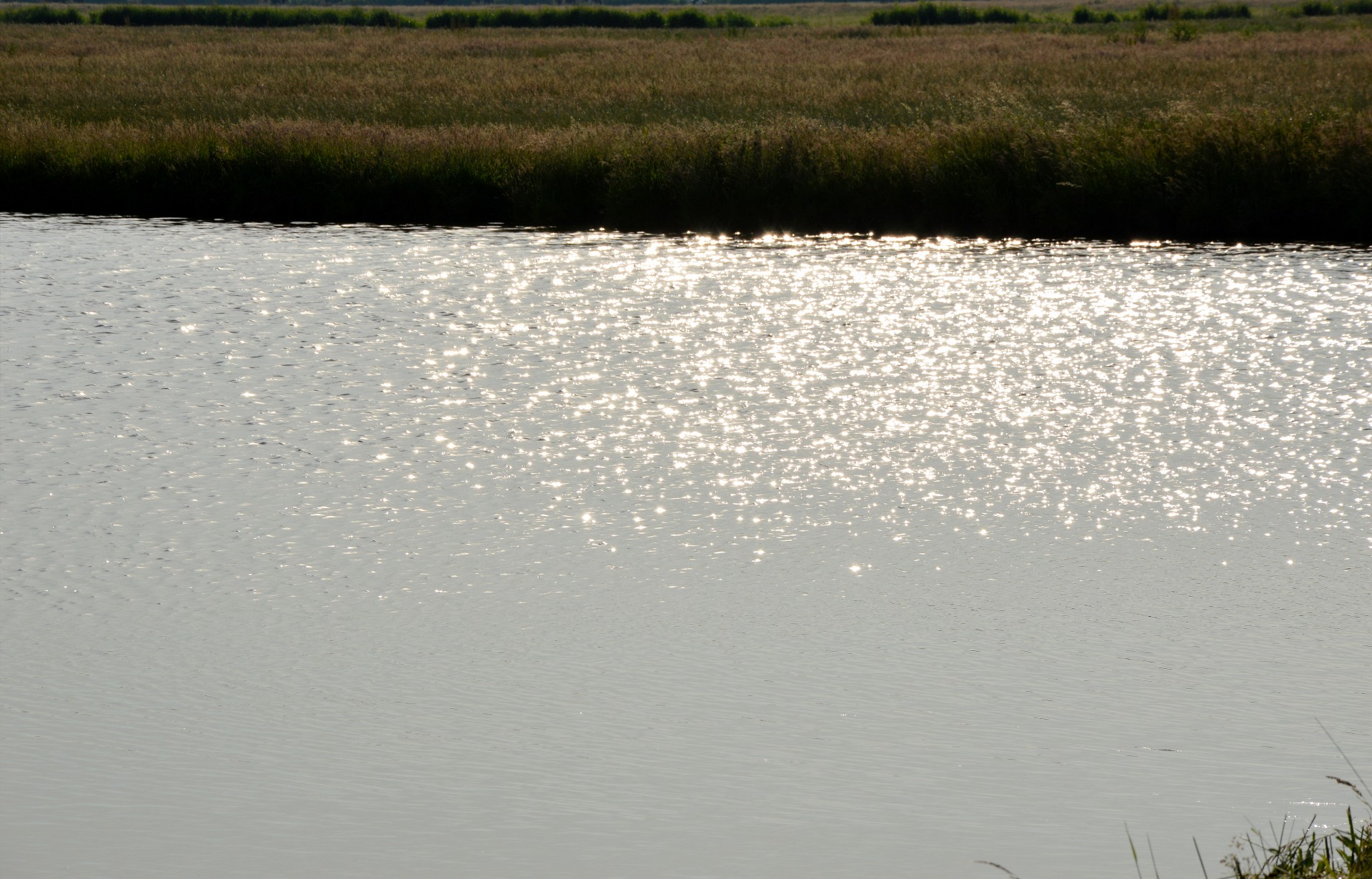 landscape nature holland free photo