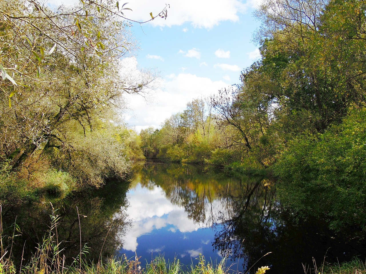 waters lake trees free photo