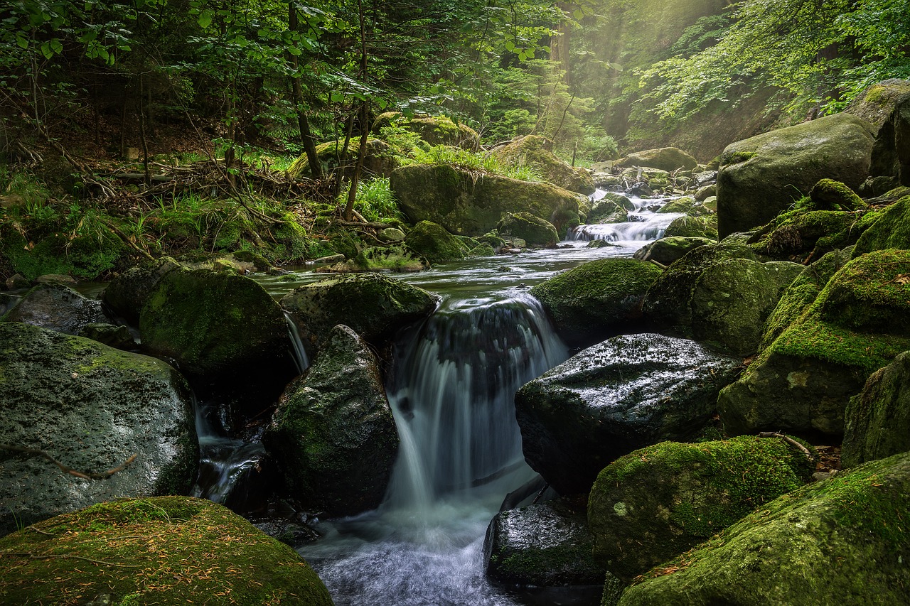 waters waterfall river free photo