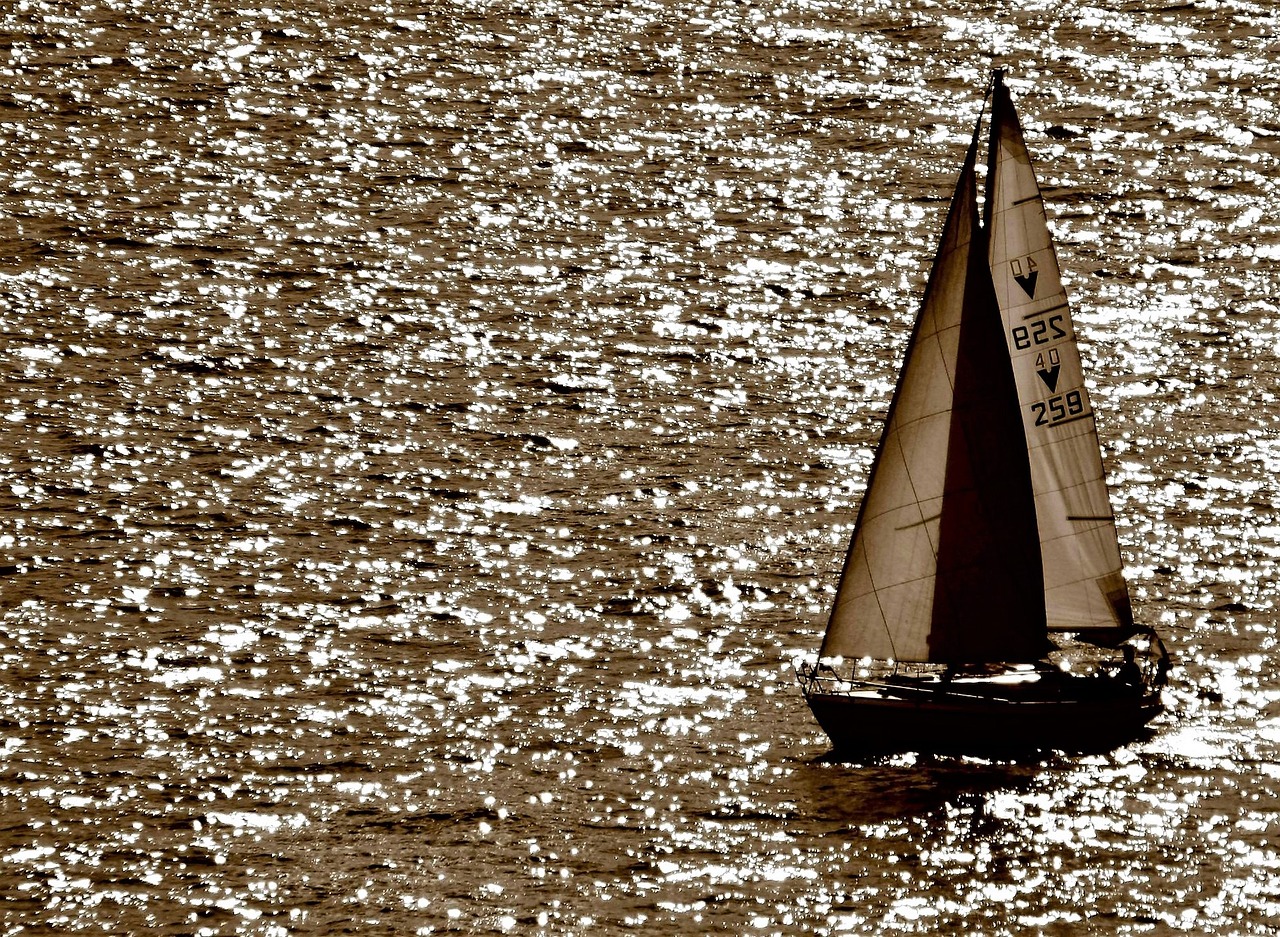 waters lake constance sailor free photo