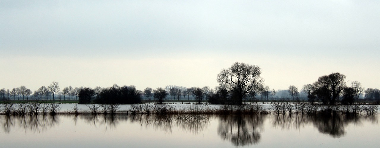 waters nature reflection free photo