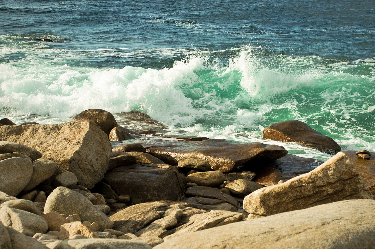 waters sea coast free photo