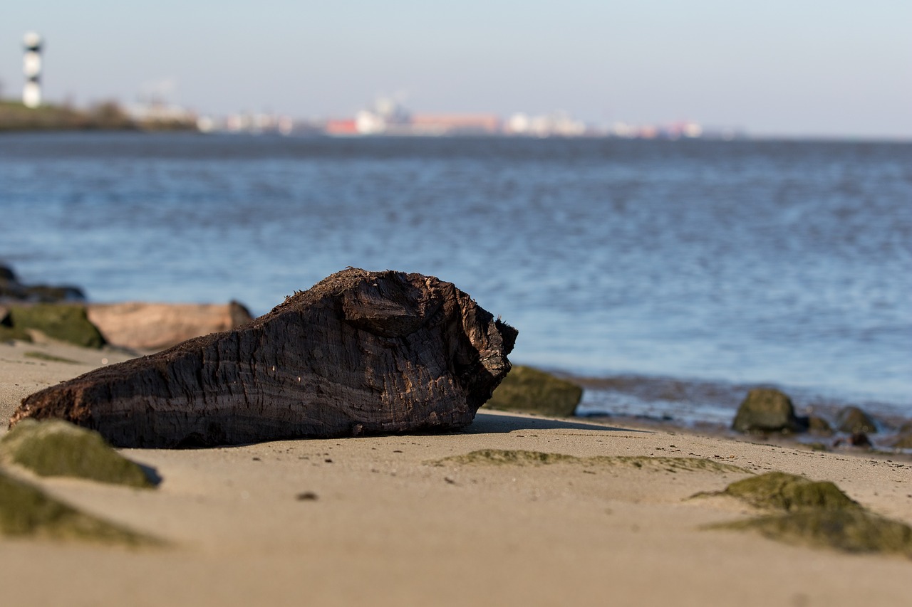 waters beach coast free photo