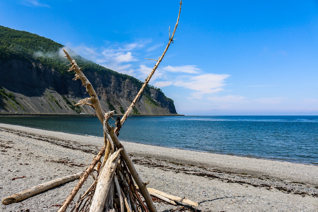 waters beach coast free photo