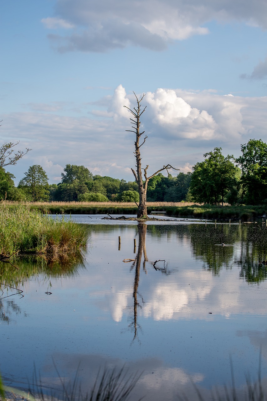 waters nature lake free photo