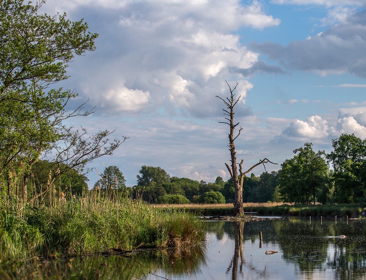 waters nature reflection free photo