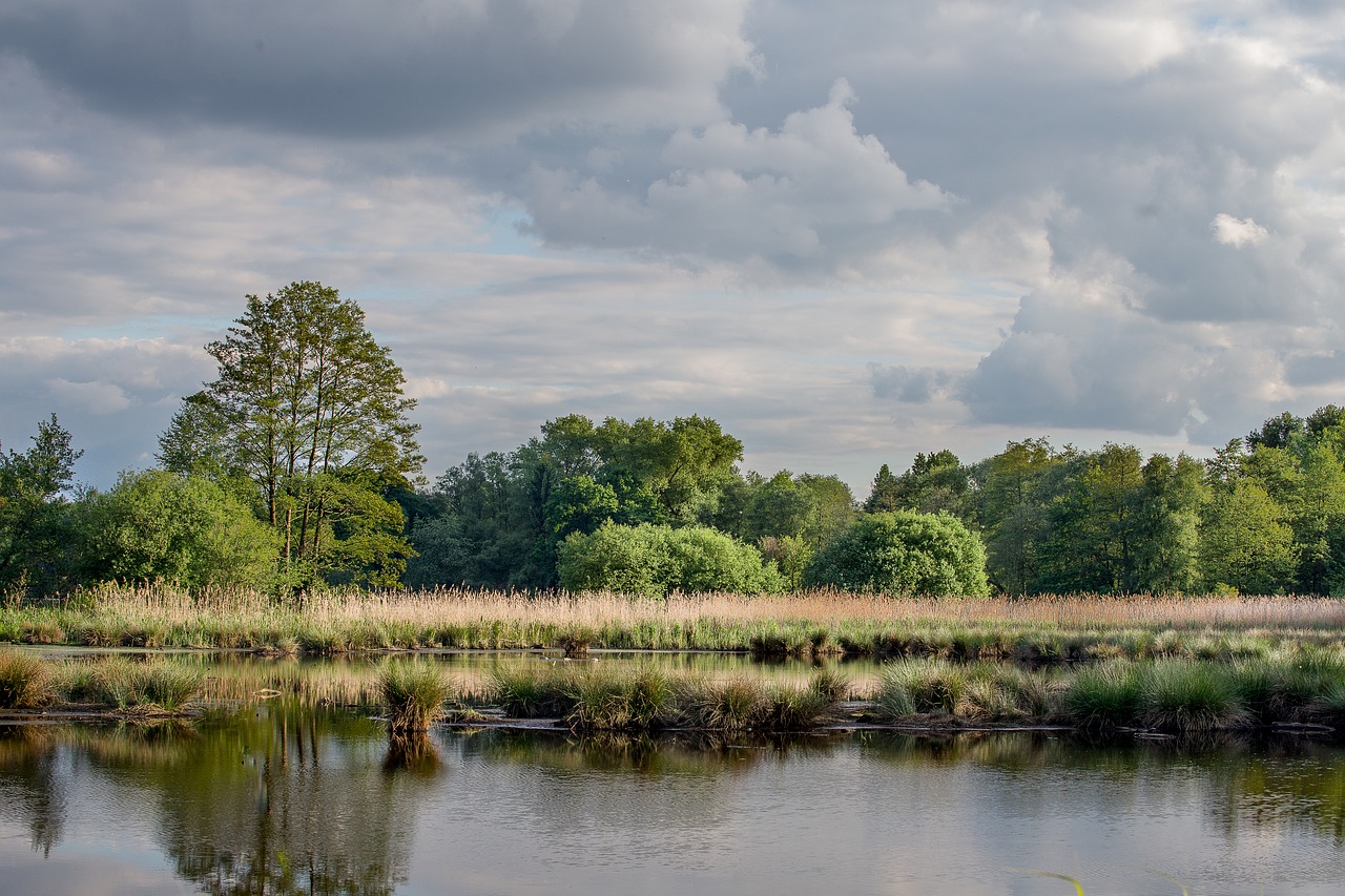 waters nature reflection free photo