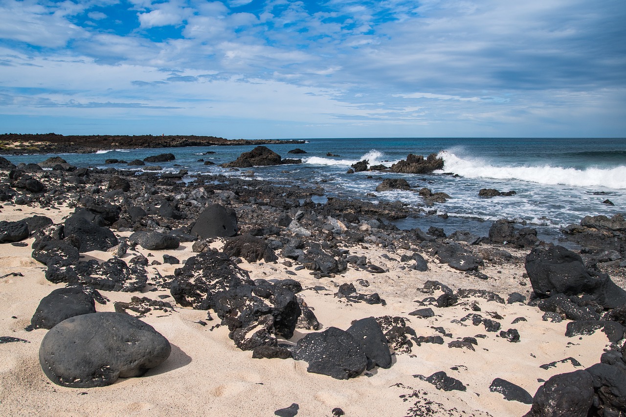 waters sea coast free photo