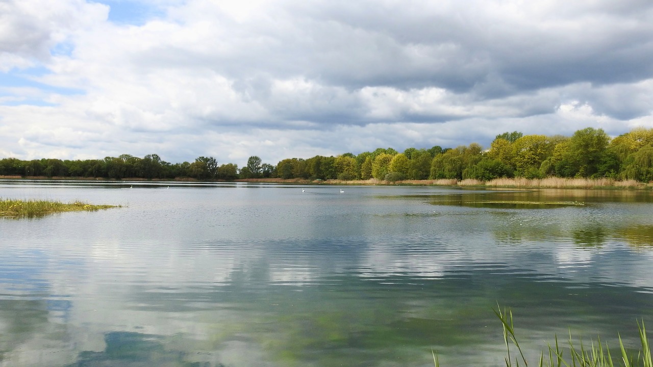 waters nature reflection free photo