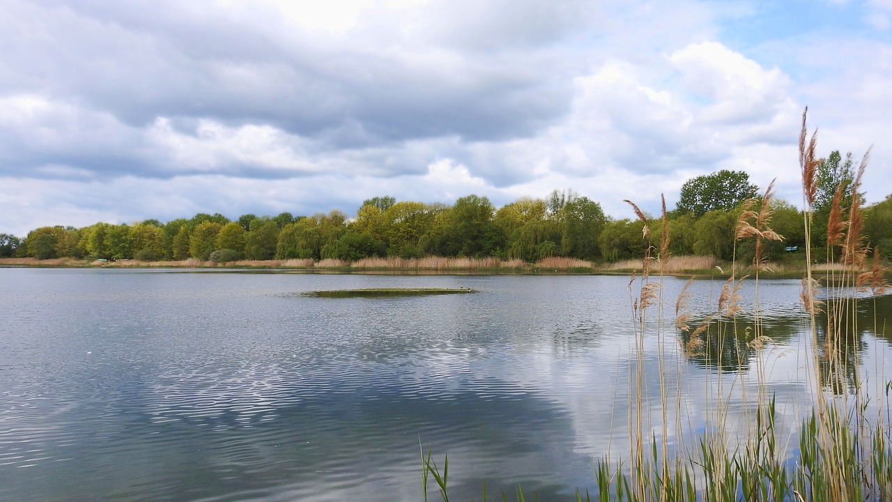 waters nature reflection free photo